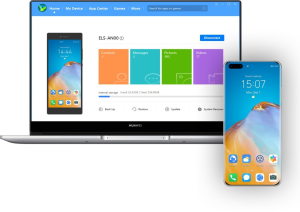 Huawei - Réparation Logicielle Ultimate (DT106)